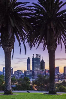 Images Dated 8th September 2014: Australia, Western Australia, Perth, city skyline from Kings Park, dawn