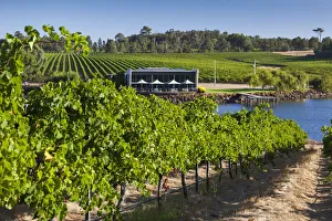 Australia, Western Australia, The Southwest, Margaret River Wine Region, Wilyabrup