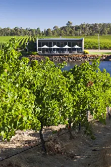 Australia, Western Australia, The Southwest, Margaret River Wine Region, Wilyabrup