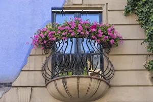 Geraniums Prints: Austria, Vienna, Hundertwasser House and Museum