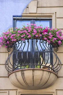 Geraniums Prints: Austria, Vienna, Hundertwasser Museum
