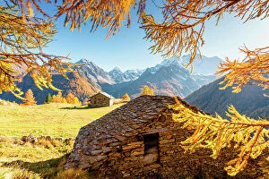 Images Dated 1st June 2023: Autumn at Alpe dell'Oro, Malenco Valley, Valtellina, Sondrio, Lombardy, Italy