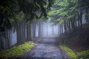 Adamello Park Gallery: Autumn atmosphere, Brescia province, Lombardy district, Italy, Europe