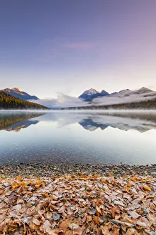 Images Dated 16th October 2018: Autumn at Bowman Lake, Glacier National Park, Montana, USA