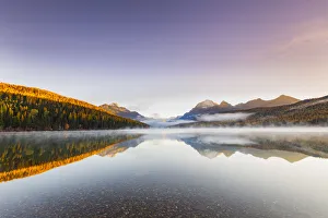 Autumn at Bowman Lake, Glacier National Park, Montana, USA