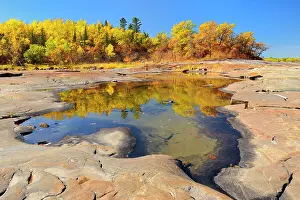 Seven Sisters Prints: Autumn colored trees reflected in the Winnipeg River Seven Sisters, Manitoba, Canada