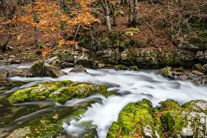 Pyrenees Prints: Autumn colorful landscape with blur motion mountain river, Ordesa and Monte Perdido