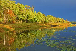 Kenora District Prints: Autumn colors on Middle Lake Kenora District, Ontario, Canada