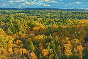 Thunder Bay Prints: Autumn colors in Neebing County South of Thunder Bay, Ontario, Canada
