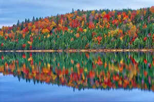 Images Dated 28th March 2023: Autumn colors reflected in Lac Modene. Great Lakes - St. Lawrence Forest Region