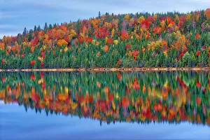 Images Dated 28th March 2023: Autumn colors reflected in Lac Modene. Great Lakes - St. Lawrence Forest Region