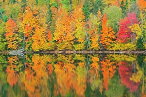 Lawrence Prints: Autumn colors reflected in Lac Trudel