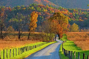 Country Prints: Autumn colour in Cades Cove- Hyatt Lane, Great Smoky Mountains NP, Tennessee, USA