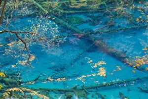 Images Dated 10th March 2014: Autumn colour & lake, Jiuzhaigou National Park, Sichuan Province, China