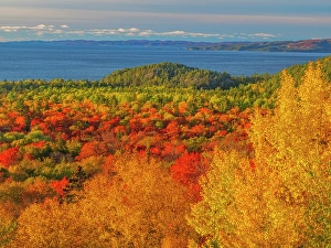 Lake Superior Prints: Autumn colour at Montreal Harbour on Lake Superior, Ontario, Canada