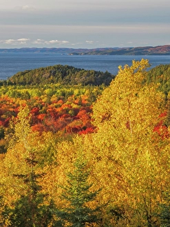 Lake Superior Prints: Autumn colour at Montreal Harbour on Lake Superior, Ontario, Canada