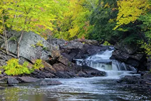 Powerful Prints: Autumn colour on the Oxtongue River, Ontario, Canada