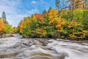 Powerful Prints: Autumn colour on the Oxtongue River, Ontario, Canada