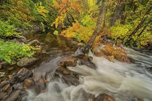 Riverbank Prints: Autumn colour on the Petawawa River, Algonquin Provincial Park, Ontario, Canada