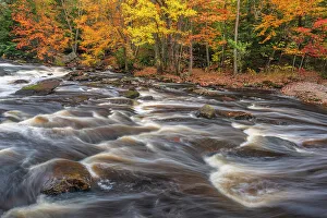 Autumn Color Prints: Autumn colour along the Rosseau River, Muskoka, Ontario, Canada