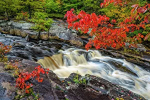 Autumn Color Prints: Autumn colour on the Rosseau River, Muskoka, Ontario, Canada
