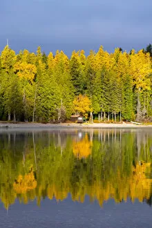 Images Dated 2nd May 2019: Autumn colours on Lake McDonald, Glacier National Park, Montana, USA