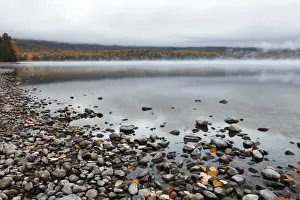 Jbanks Prints: Autumn colours on Lake McDonald, Glacier National Park, Montana, USA