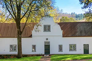 Gable Prints: Autumn Colours at Rustenberg Vineyard, Stellenbosch, Western Cape Province, South Africa