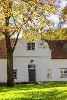 Gable Prints: Autumn Colours at Rustenberg Vineyard, Stellenbosch, Western Cape Province, South Africa