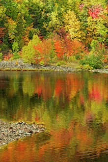 Autumn along a creek on the Cabot Trail, Cape Breton, Indian Brook, Nova Scotia, Canada