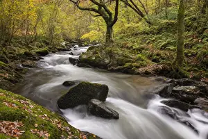 Exmoor Prints: Autumn foliage on the banks of the fast flowing East Lyn River near Rockford
