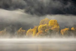 Banks Prints: Autumn foliage on the banks of Wairepo Arm in Mackenzie Country