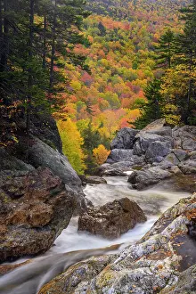 Fresh Water Prints: Autumn foliage on a mountainside behind the Ellis River above Glen Ellis Falls