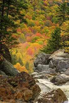 Placid Prints: Autumn foliage on a mountainside behind the Ellis River above Glen Ellis Falls