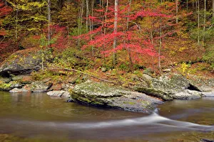 Runoff Prints: Autumn foliage overhanging the Little River, Great Smoky Mountains NP, Tennessee, USA