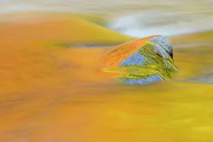 Placid Prints: Autumn foliage reflections in the Swift River, Kankamagus Highway, New Hampshire, USA