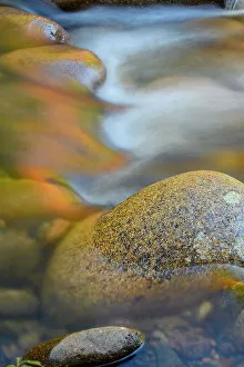 Placid Prints: Autumn foliage reflections in the Swift River, Kankamagus Highway, New Hampshire, USA