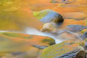 Fresh Water Prints: Autumn foliage reflections in the Swift River, Kankamagus Highway, New Hampshire, USA