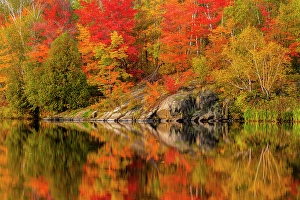 Fresh Water Prints: Autumn foliage along the shore of Simon Lake, Greater Sudbury, Ontario, Canada