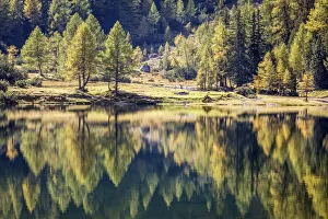 Steiermark Prints: Autumn forest on Duisitzkarsee in the Schladming Mountains, Styria, Austria