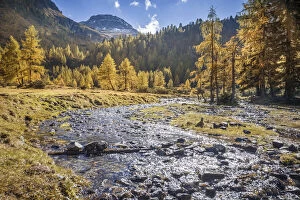Stream Gallery: Autumn forest and mountain stream above the Duisitzkarsee in the Schladming Mountains