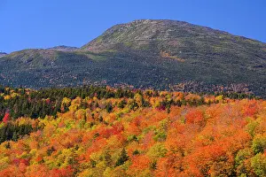 Forest Ecosystem Prints: Autumn forest and Presidential Range (Mount Washington)
