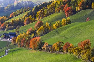 Val Di Funes Prints: Autumn in Funes valley, Bolzano, Trentino Alto Adige, Italy