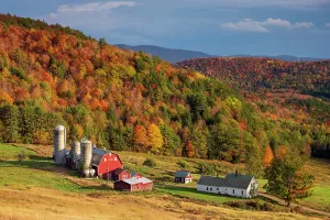 Autumn Leaf Prints: Autumn at Hillside Acres, Green Mountains, Barnet, Vermont, USA