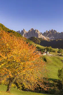 Images Dated 14th October 2017: Autumn in the Italian Dolomites Alps, Funes Valley, Trentino Alto Adige, Italy
