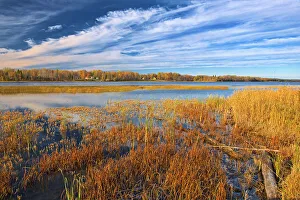 Autumn Lake of the Woods Rainy River, Ontario, Canada