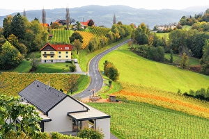 Grape Prints: Autumn landscape and vineyards in Spicnik, Slovenia