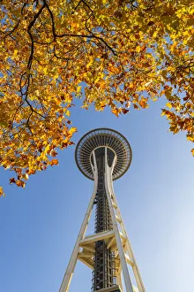 Autumn Leaves and Space needle, Seattle, Washington, USA