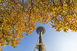 Images Dated 2nd May 2019: Autumn Leaves and Space needle, Seattle, Washington, USA