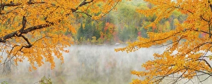 Panorama Prints: Autumn maple overhanging misty McCharles Lake, Greater Sudbury, Ontario, Canada